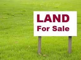 land for sale